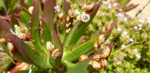 The Art of Joy bed and Breakfast blog Puur Portugal 1