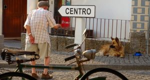 The Art of Joy Bed and Breakfast blog hoekjes af 2