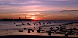 the-art-of-joy-bed-and-breakfast-wandeling-rota-1-1jpg