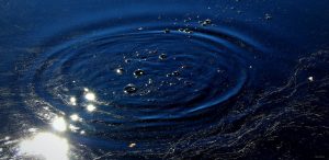 Dolfijnen langs Meia Praia