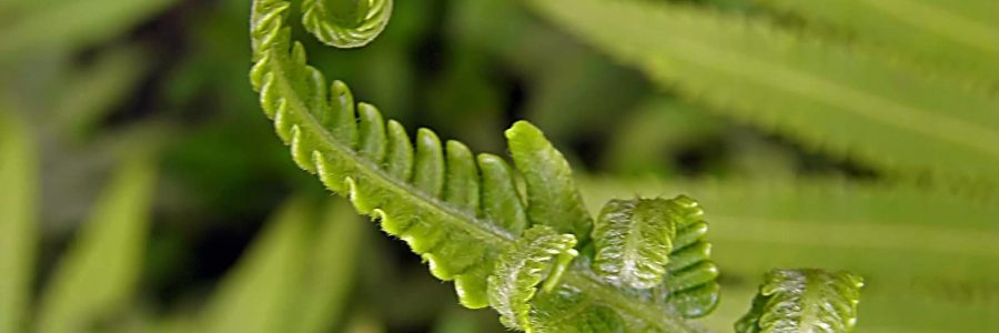 Opwaartse spiraal door synergie