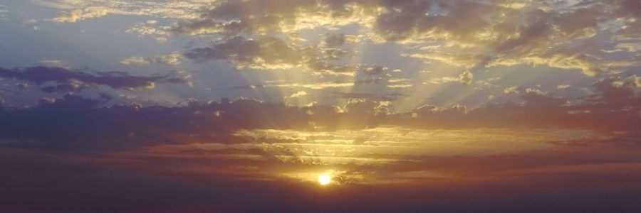 Succes en vroeg opstaan. Waar levensgeluk?