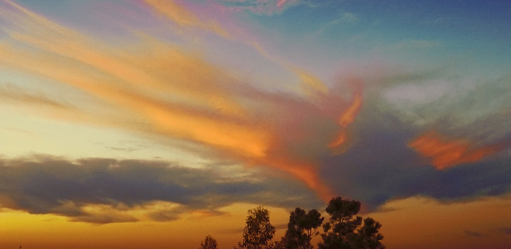 Balanceren op het scherp van de snede - The Art of Joy