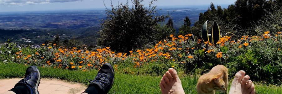 In de ban van de rust in de Algarve