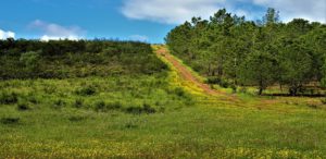 Puur natuur Portugal