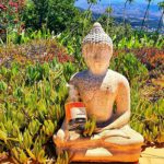 The place ánd the people to be!  ❤️  Schoon & Safe