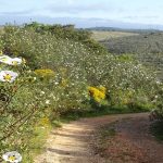Wandelingen Algarve