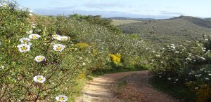 Wandelingen Algarve