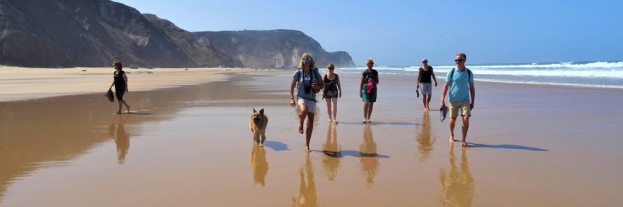 Dankbaar voor het Paradijs Meia Praia
