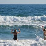Dolfijnen langs Meia Praia