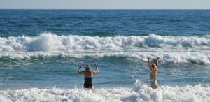 Dolfijnen langs Meia Praia