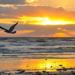Relaxed op vakantie