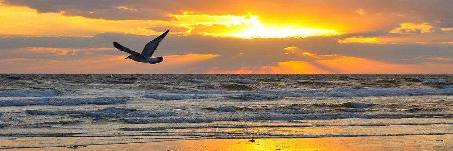 Wat is Valentijn zonder verlangen?