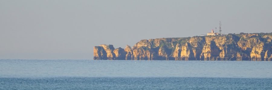 Hold the Vision, trust the process