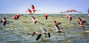 Vriendschap is als reizen