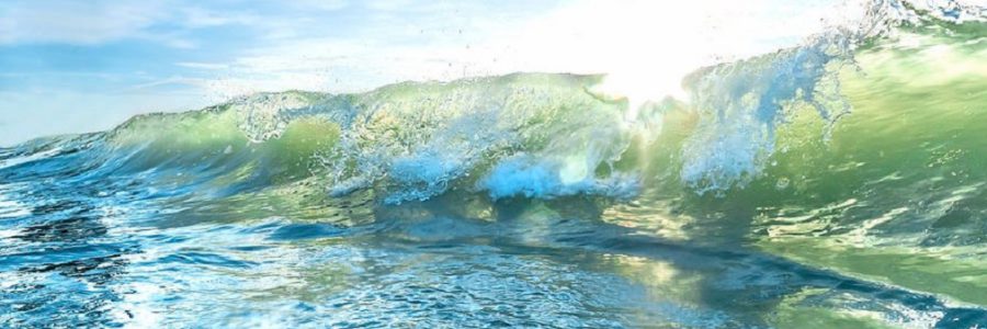 Oceaantherapie in Portugal. Waves of Wellness