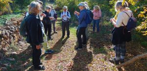 Lichtvoetig leven Algarve