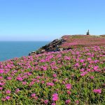 Vakantie variatie en vertier