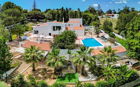 De V van Vernieuwing bij The Art of Joy