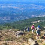 Het leven is perfect