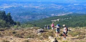 Het leven is perfect