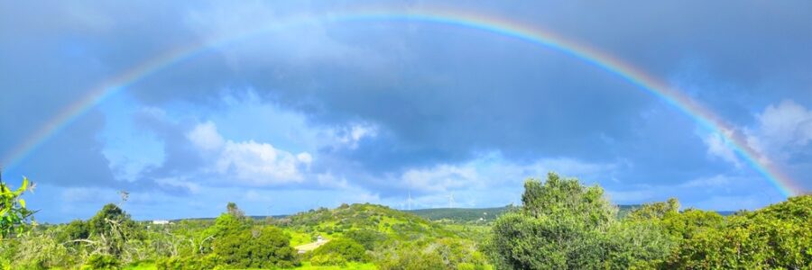 Een onverwacht leerzaam avontuur: Slow Living