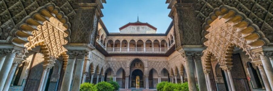 Carpe Diem! Een Les in Kwetsbaarheid