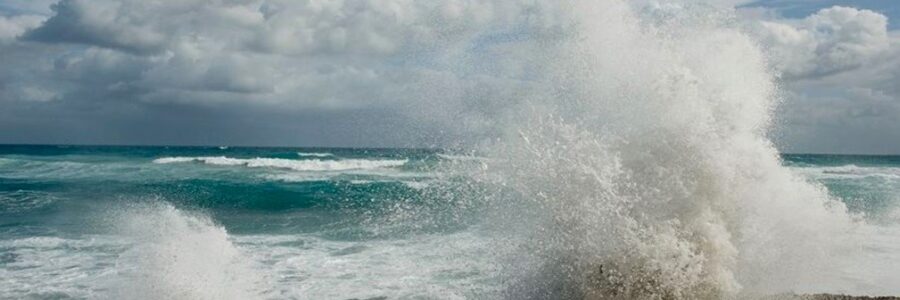 Goede Voornemen 2025: Laat het gaan!